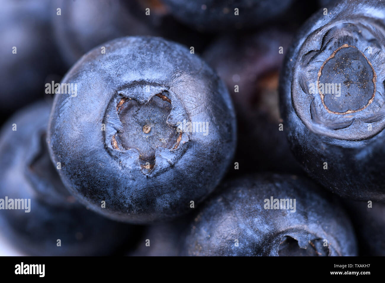 Frische süße Blueberry Hintergrund. Organische Beeren. Makro schießen, selektive konzentrieren. Stockfoto