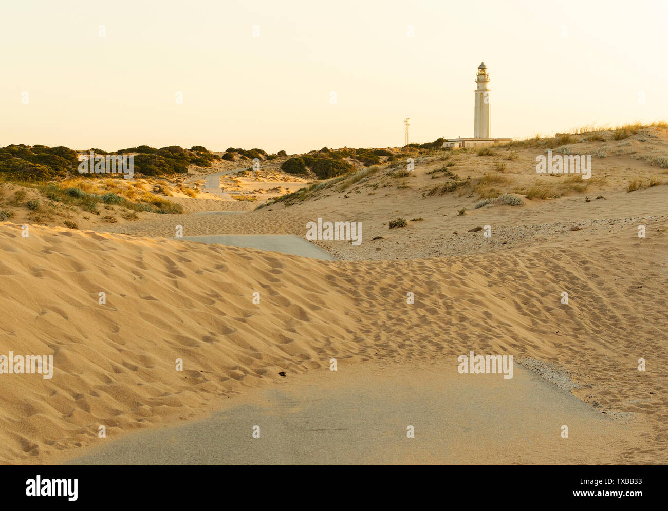Weg bedeckt mit Sand von den Dünen, Straße in Richtung Leuchtturm von Trafalgar, Cadiz, Spanien bei Sonnenuntergang Stockfoto