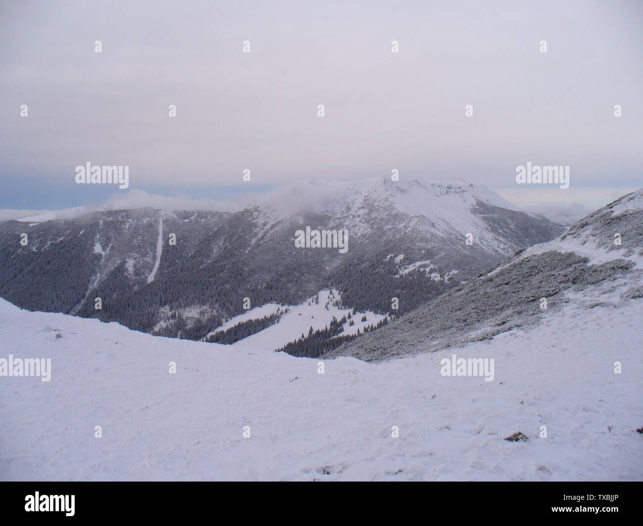 Romania Roma Stockfotos Und Bilder Kaufen Seite 2 Alamy