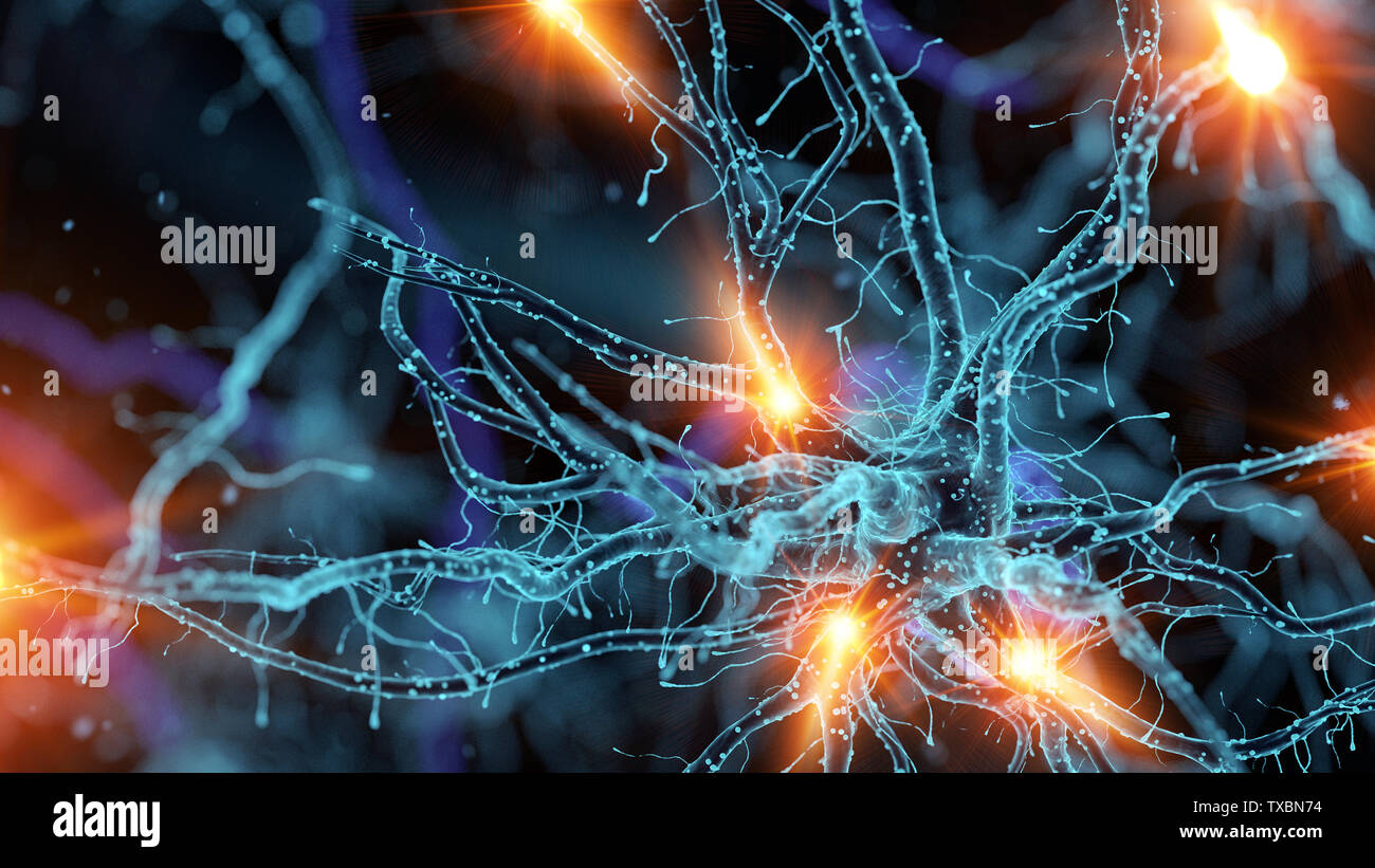 3D-gerenderte Medizinisch genaue Abbildung einer Nervenzelle Stockfoto