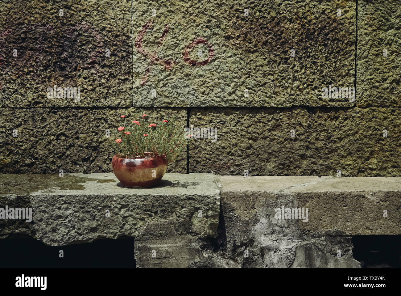 Der Titel ist: Jiangnan? Sun Flower, kochende Sun Tou? Yinwan Alte Dorf Nachmittag ruhig Serie 5 Stockfoto