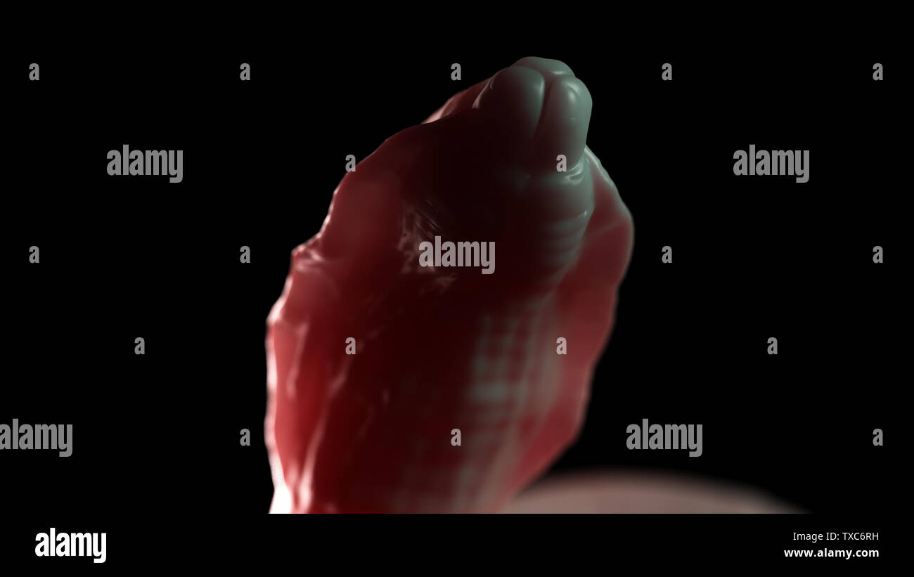 3D-gerenderte Medizinisch genaue Abbildung eines Rundwurm Stockfoto