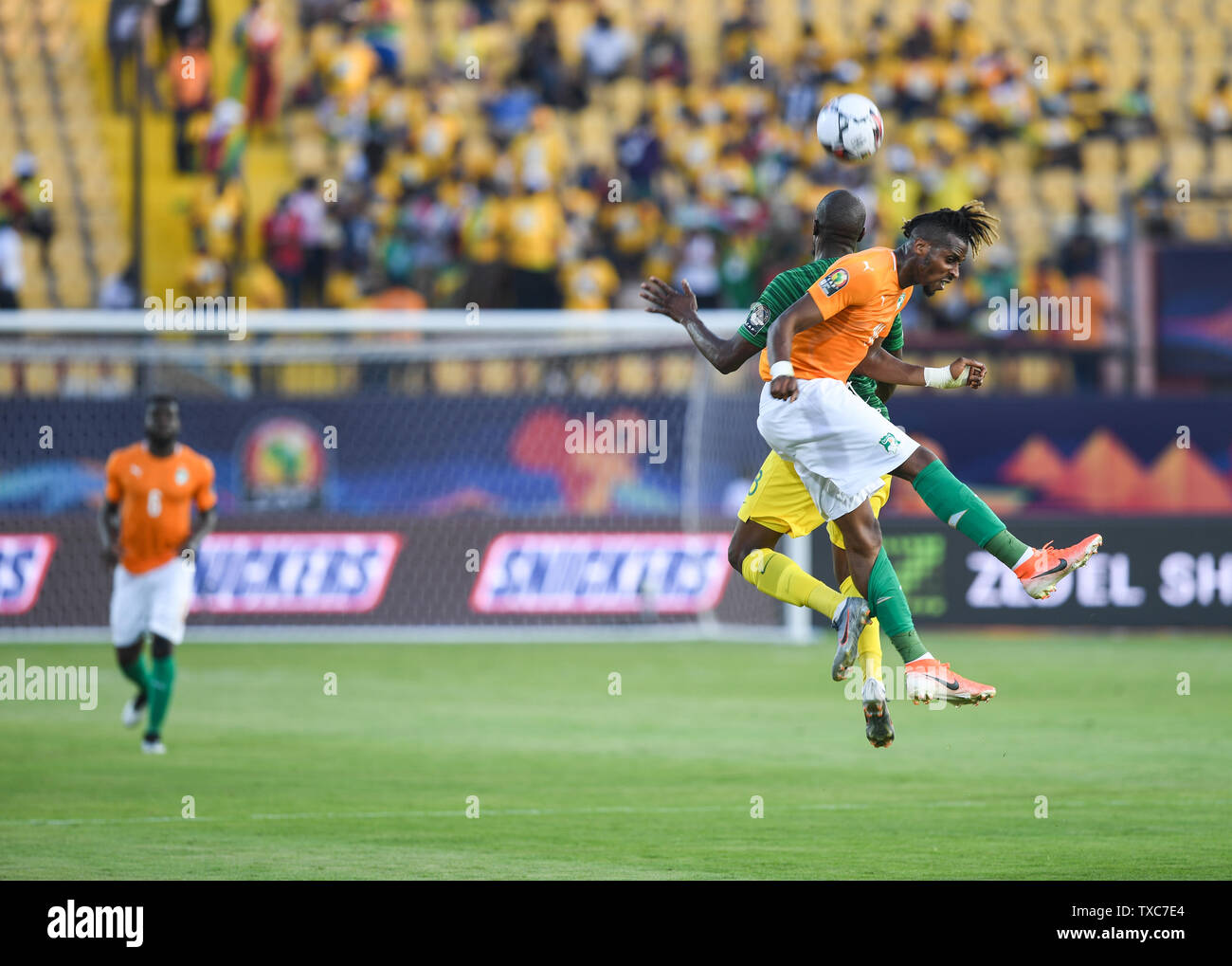 Kairo, Ägypten. 24. Juni, 2019. Jonathan Adjo Kodjia (R) von Côte d'Ivoire konkurriert mit sandile Hlanti von Südafrika während des 2019 Afrika Cup der Nationen 3D/3D Match zwischen Côte d'Ivoire und Südafrika in Kairo, Ägypten, am 24. Juni 2019. Côte d'Ivoire gewann 1:0. Credit: Li Yan/Xinhua/Alamy leben Nachrichten Stockfoto