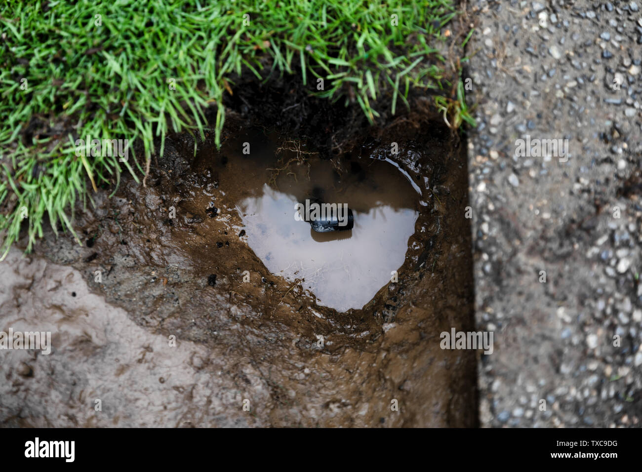 Sprinkleranlage unter Wartung Reparatur mit Gras und die Art und Weise, in der Anzeige Stockfoto