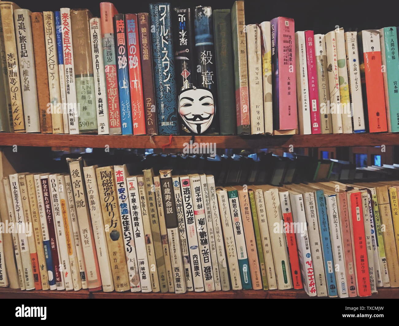 Fox's Weg zur Fotografie. Stockfoto