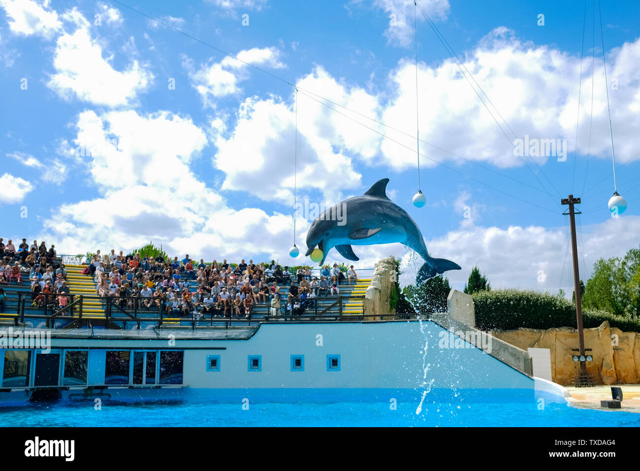 Parc Astérix Delphin Show in Paris Stockfoto