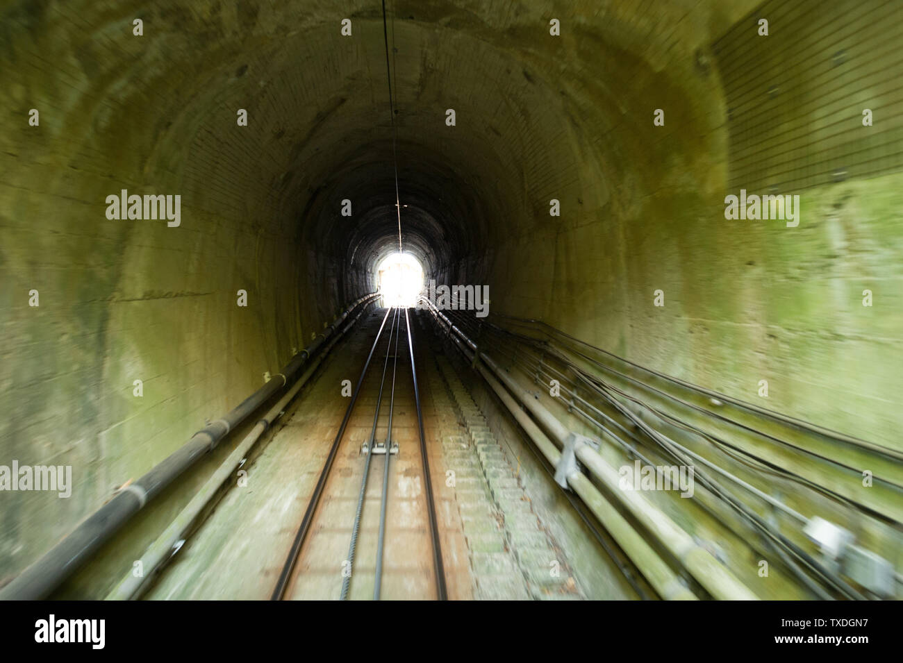 Die Seilbahn am Mount Takao Park außerhalb von Tokyo reist regelmässig nach oben und unten den Berg, durch den Wald und ein paar Tunnel. Stockfoto