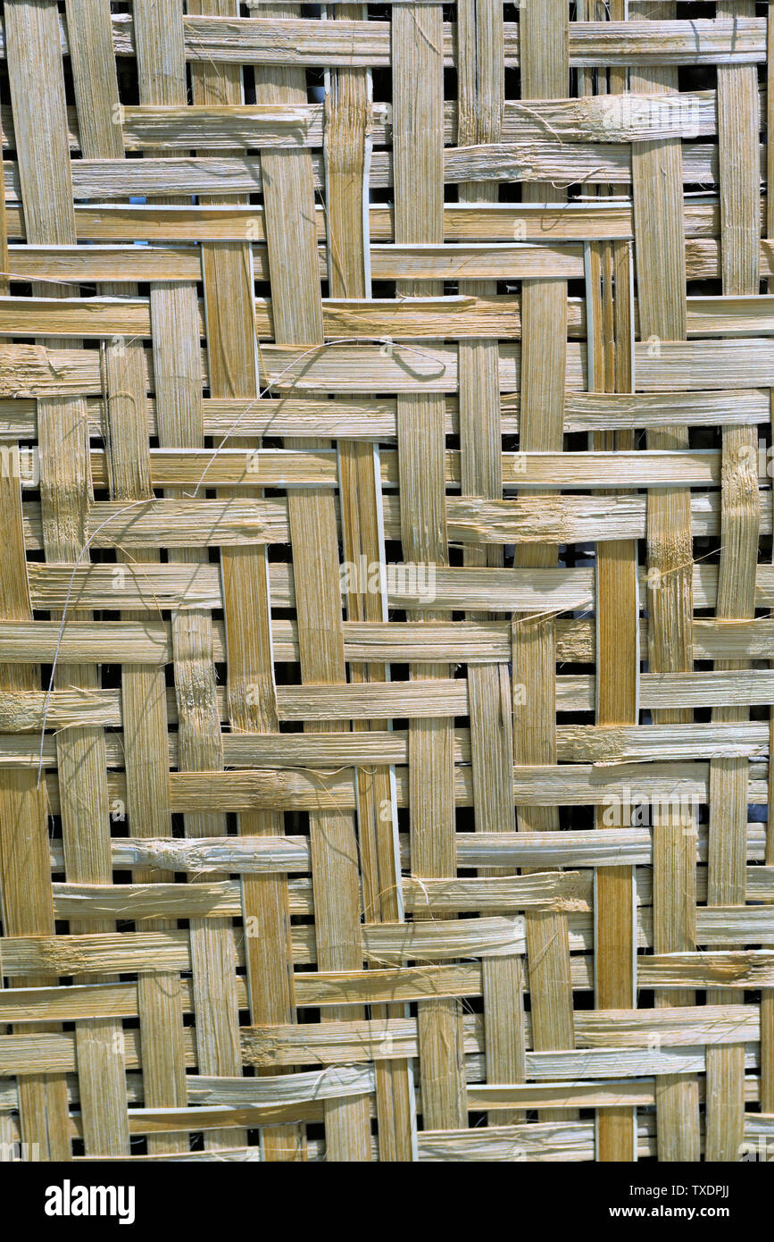 Bambus Streifen an der Wand, Pune, Maharashtra, Indien, Asien Stockfoto