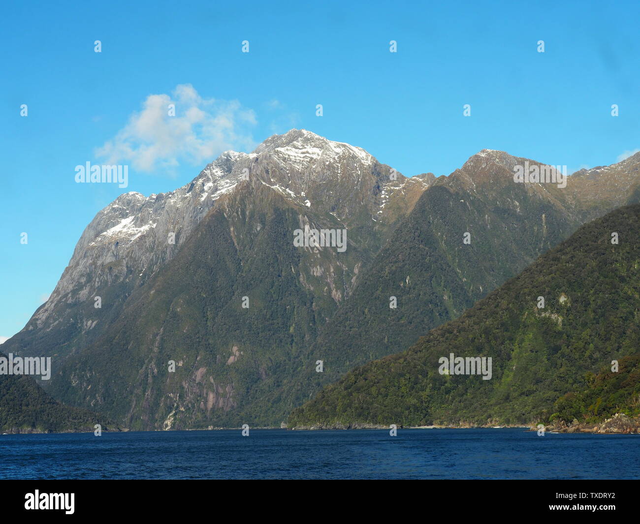 Ein Berg stand stark im Milford Sound Stockfoto