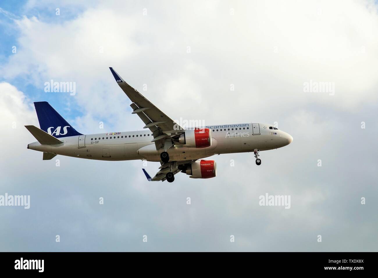 SAS Scandinavian Airlines Flugzeug Landung am Flughafen Heathrow, London, Großbritannien Stockfoto