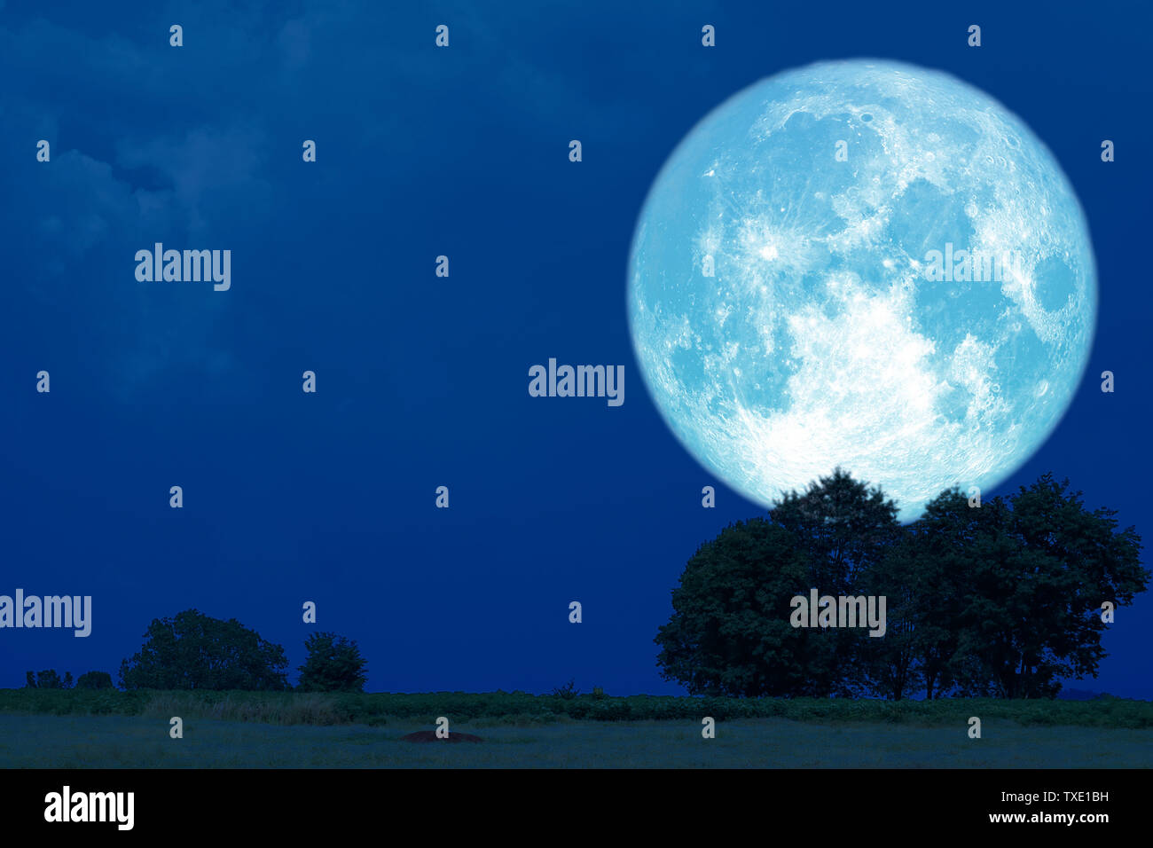 Volle Buck Mond zurück silhouette Bäume im Feld, Elemente dieses Bild von der NASA eingerichtet Stockfoto