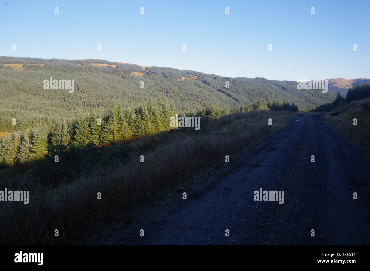 Der Loch Lomond und Cowal Weg. Halbinsel Cowal. Hochland. Schottland. Großbritannien Stockfoto