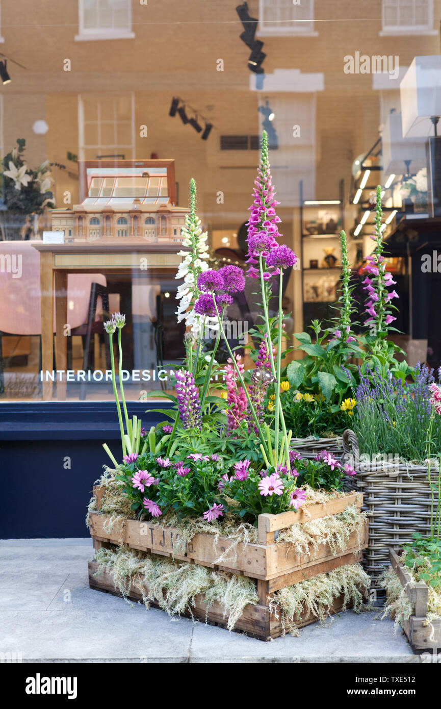 Unter dem Meer, Blume floral Design, entlang der Kings Road in Chelsea, London Stockfoto