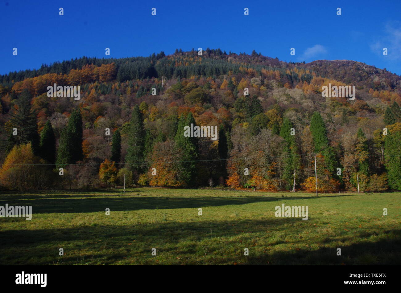 Der Loch Lomond und Cowal Weg. Halbinsel Cowal. Hochland. Schottland. Großbritannien Stockfoto
