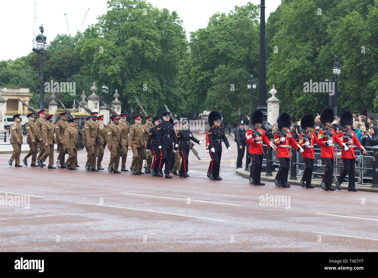 Welsh Guard an der Mall am Trooping der Farbe 2019 Stockfoto