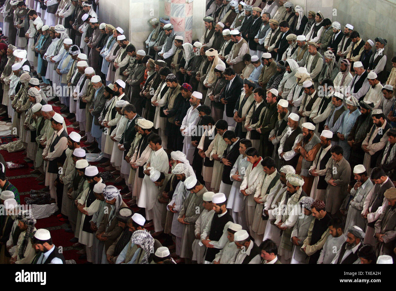 Muslime beten, wie sie Eid Al-Fitr, den Feiertag markiert das Ende der muslimischen heiligen Fastenmonats Ramadan in einer Moschee in Kabul, Afghanistan am 20. September 2009 teil. UPI/Mohammad Kheirkhah Stockfoto