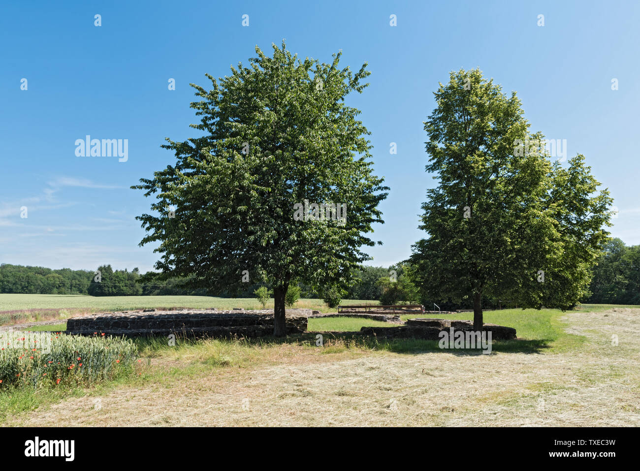 Verlassene Burg Arnsburg bei muschelheim in der wetterau Hessen Deutschland Stockfoto