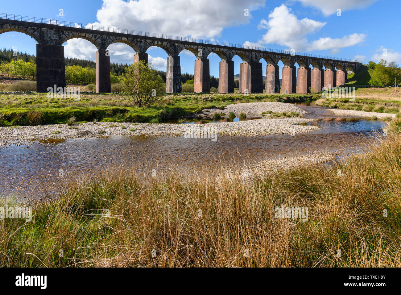 Großes Wasser der Flotte Viadukt, in der Nähe der Pförtnerloge der Flotte, Dumfries and Galloway, Schottland Stockfoto