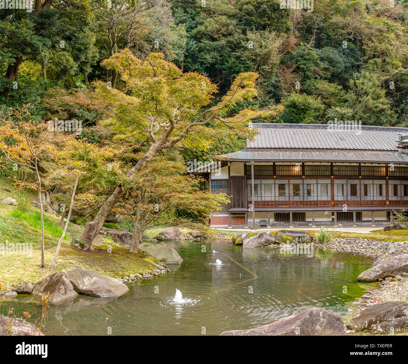 Zen-Garten im Engaku-ji in Kamakura, entworfen von Muso Soseki, Kanagawa, Japan Stockfoto