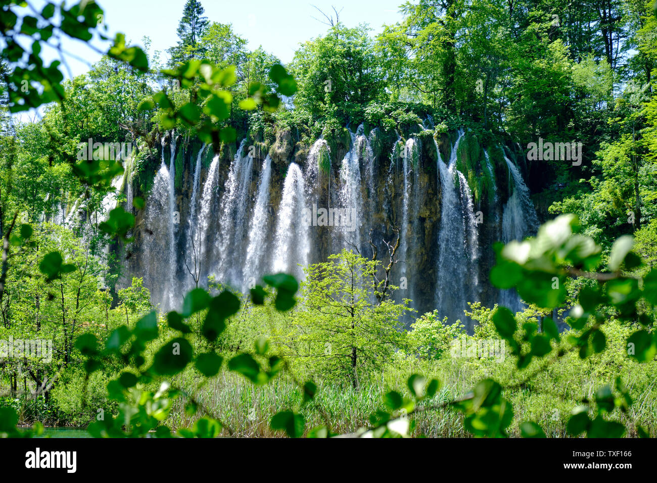 2128 Prstavac Wasserfall umgeben von grünen Blättern und Zweigen gerahmt, in Plitvicer Seen (Plitvicka jezera), Kroatien, in helles Licht. Stockfoto