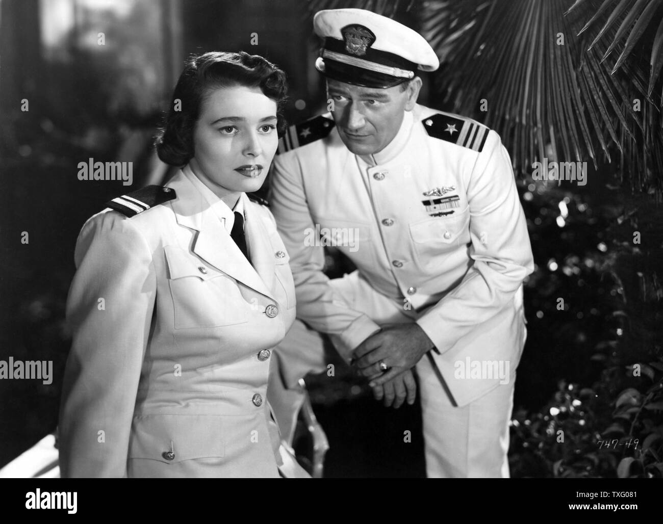 Betrieb Pacific Jahr: 1951 USA Regie: George Waggner John Wayne, Patricia Neal Stockfoto