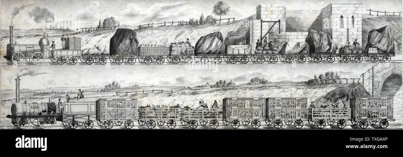 Drucken Sie mit zwei Ansichten von Güterzügen für die Liverpool and Manchester Railway Company, mit Flachbett-Autos für das Schleppen der standard-Fracht und Autos mit Schienen und Käfige für das Schleppen der Viehbestand, gezeichnet von Dampflokomotiven zwischen Liverpool und Manchester, England. Stockfoto