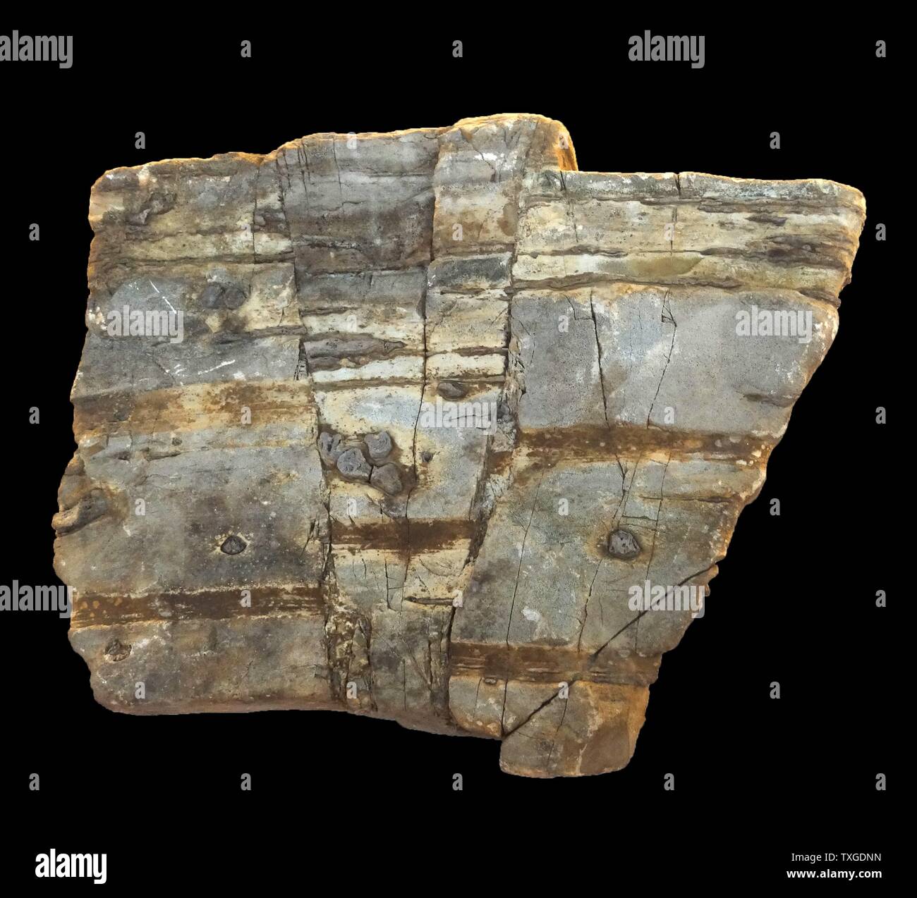 eine Schuld-Rock ist eine planare Fraktur oder Diskontinuität in einem Volumen von Felsen, in denen signifikante Verschiebung durch massive Felsbewegungen stattgefunden hat Stockfoto