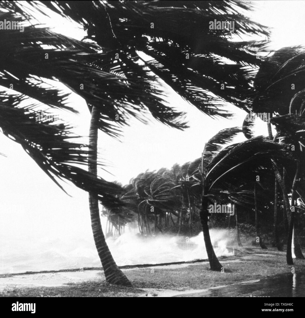 Fotografieren von einer Zerstörung der Ufermauer nach einem Hurrikan. Florida. Datiert 1947 Stockfoto