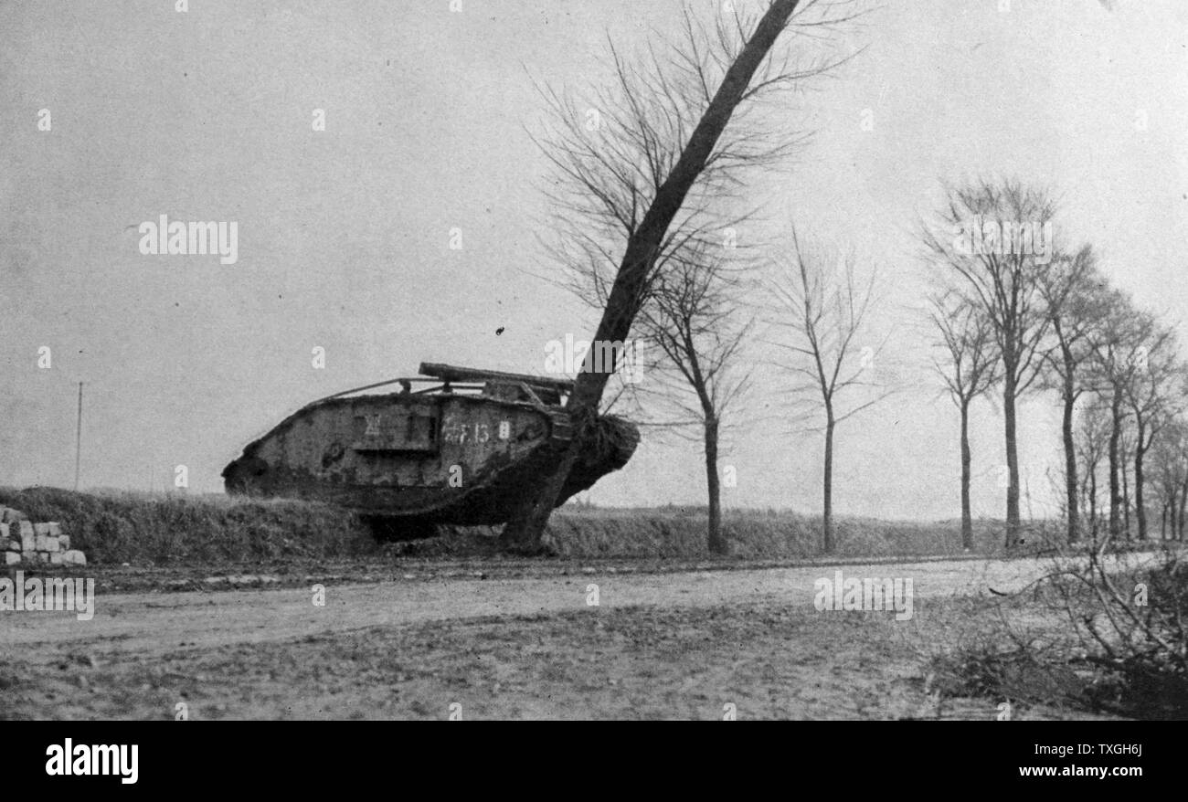 Britischer Panzer zerstört einen Baum auf dem Weg zur Schlacht von Cambrai, während Weltkrieges einer 1917. Die Schlacht von Cambrai war eine britische militärische Offensive, die Beteiligten der ersten erfolgreichen Anwendung von Panzern und Waffen kombiniert. Stockfoto