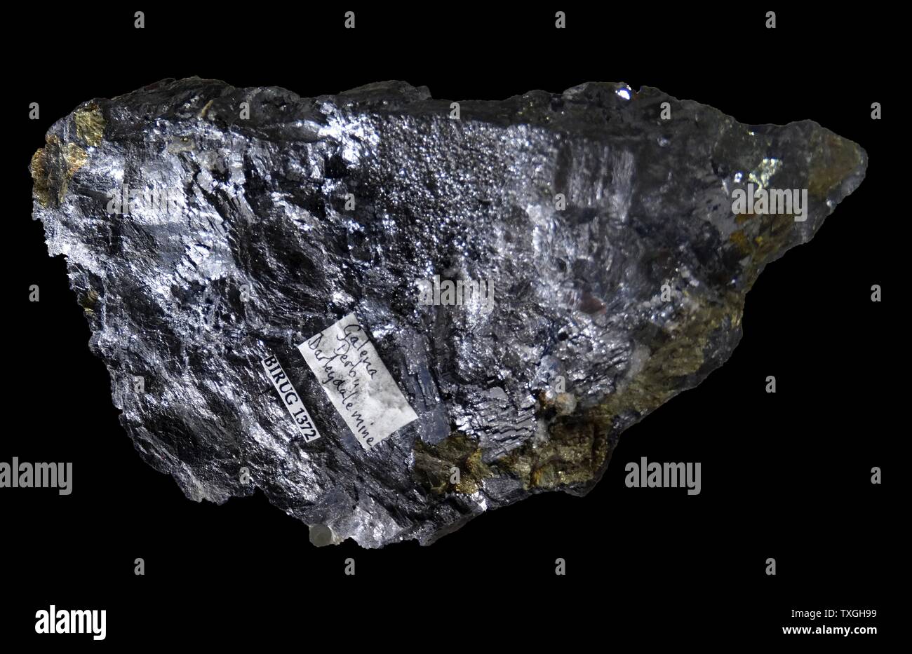 Galena, das natürliche Mineral Form von Blei-Sulfid. Es ist das wichtigste Erz von Blei und eine wichtige Quelle für Silber Stockfoto