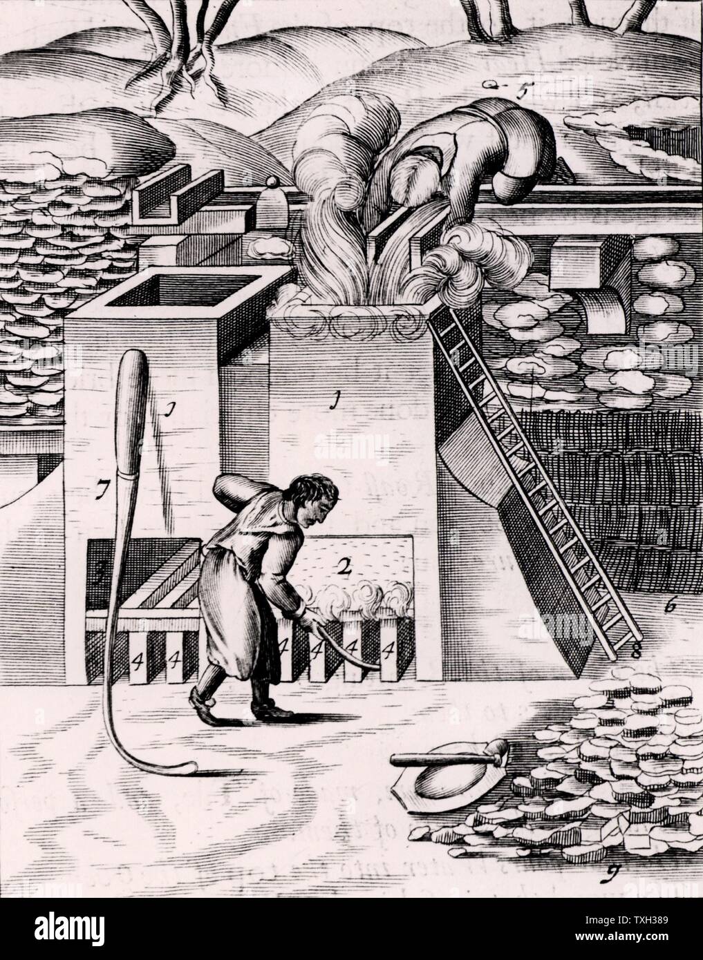 Die Röstung Golderz, um das Edelmetall zu erholen. Ab 1683 Englische Ausgabe von Lazarus Ercker' Beschreibung allerfurnemisten Ertzt mineralischen- und Berckwercksarten" ursprünglich in Prag im Jahr 1574 veröffentlicht. Kupferstich. Stockfoto