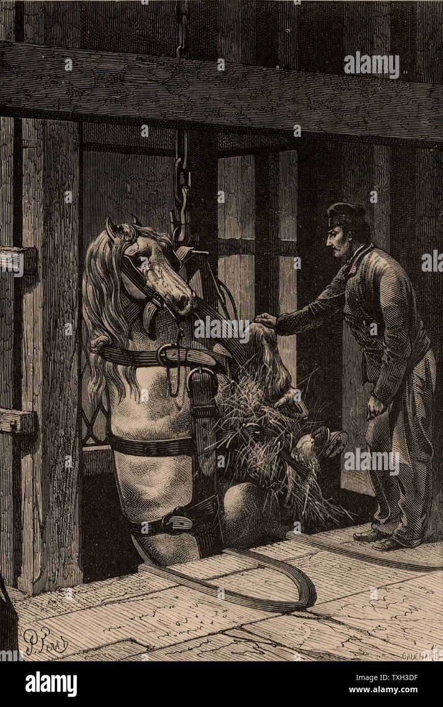 Eine Grube Pony, einen Schacht in der Creuzot Revier, Frankreich gesenkt. Von "unterirdische Leben; Oder, Bergwerke und Bergleute" von Louis Simonin (London, 1869). Holzstich. Stockfoto Eine Grube Pony, einen Schacht in der Creuzot Revier, Frankreich gesenkt. Von "unterirdische Leben; Oder, Bergwerke und Bergleute" von Louis Simonin (London, 1869). Holzstich. Stockfoto