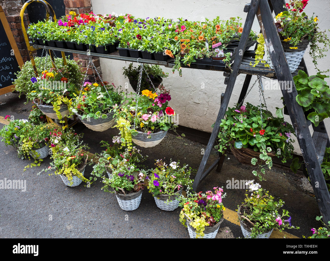 Hängende Körbe zum Verkauf an einem Marktstand und Außenanwendungen. Stockfoto