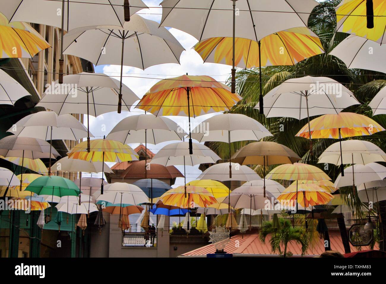 Schöner Satz von Sonnenschirmen in Caudan Waterfront street hängen, Mauritius. Stockfoto