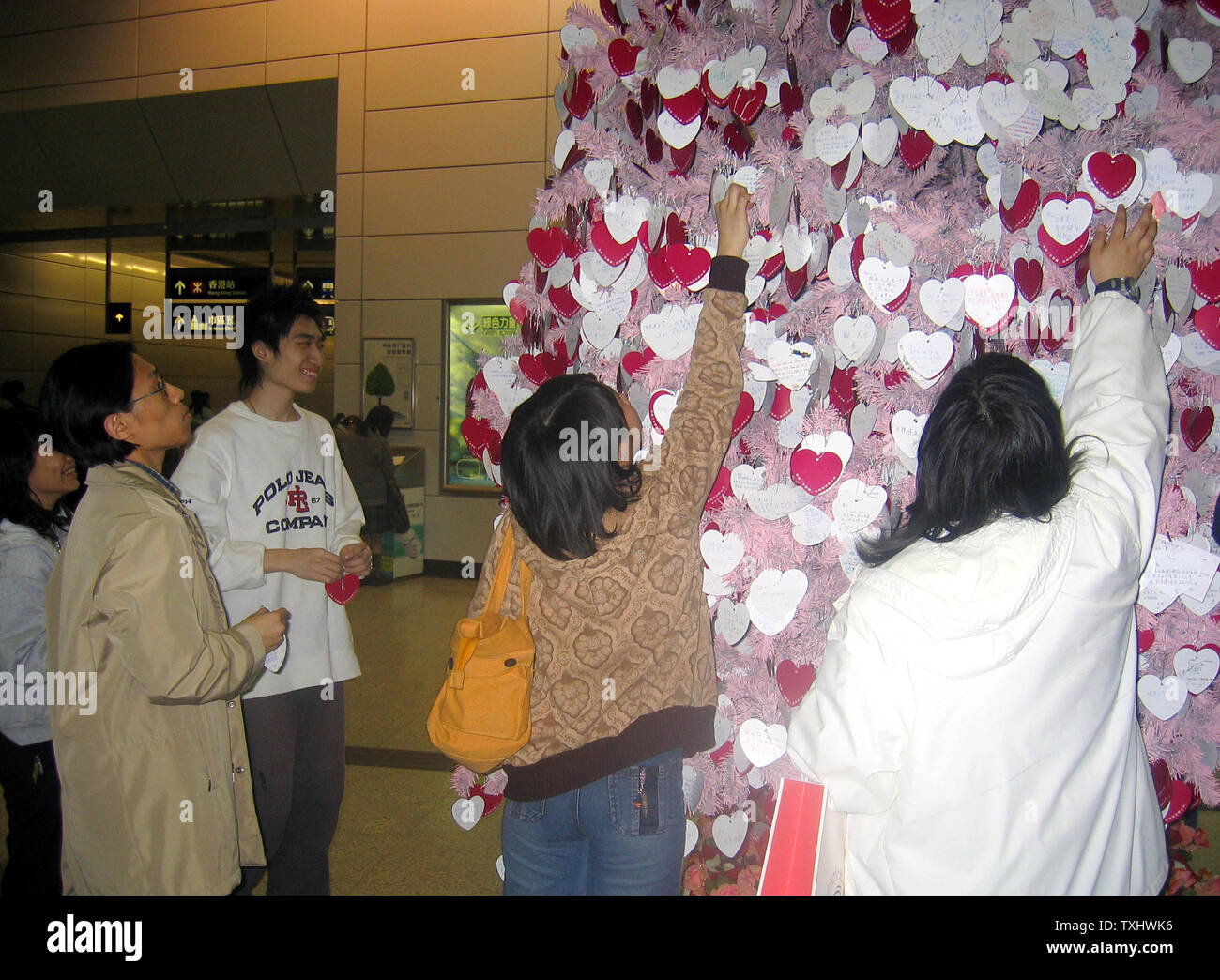 Junge geliebte Jacky Wong und Olive Lo hängen Sie ein "ich liebe Dich" Karte von Hongkong Valentine Baum, am 13. Februar 2004 in Hong Kong, China. Ê (UPI Foto/Yan Tai) Stockfoto