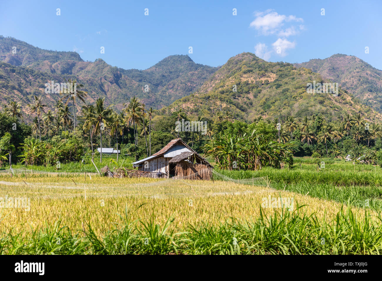 Ländliche balinesischen Landschaft mit Reisfeldern und die Berge. Amed, Karangasem, in Bali, Indonesien Stockfoto