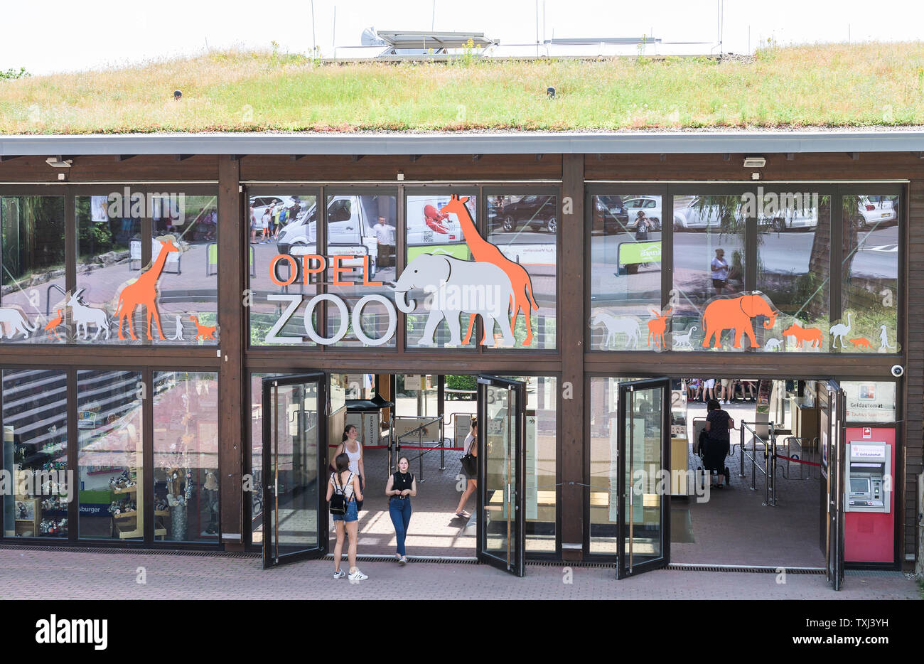 Kronberg im Taunus, Deutschland. 25. Juni 2019. Der Eingang zu Opel Zoo. Credit: Silas Stein/dpa/Alamy leben Nachrichten Stockfoto
