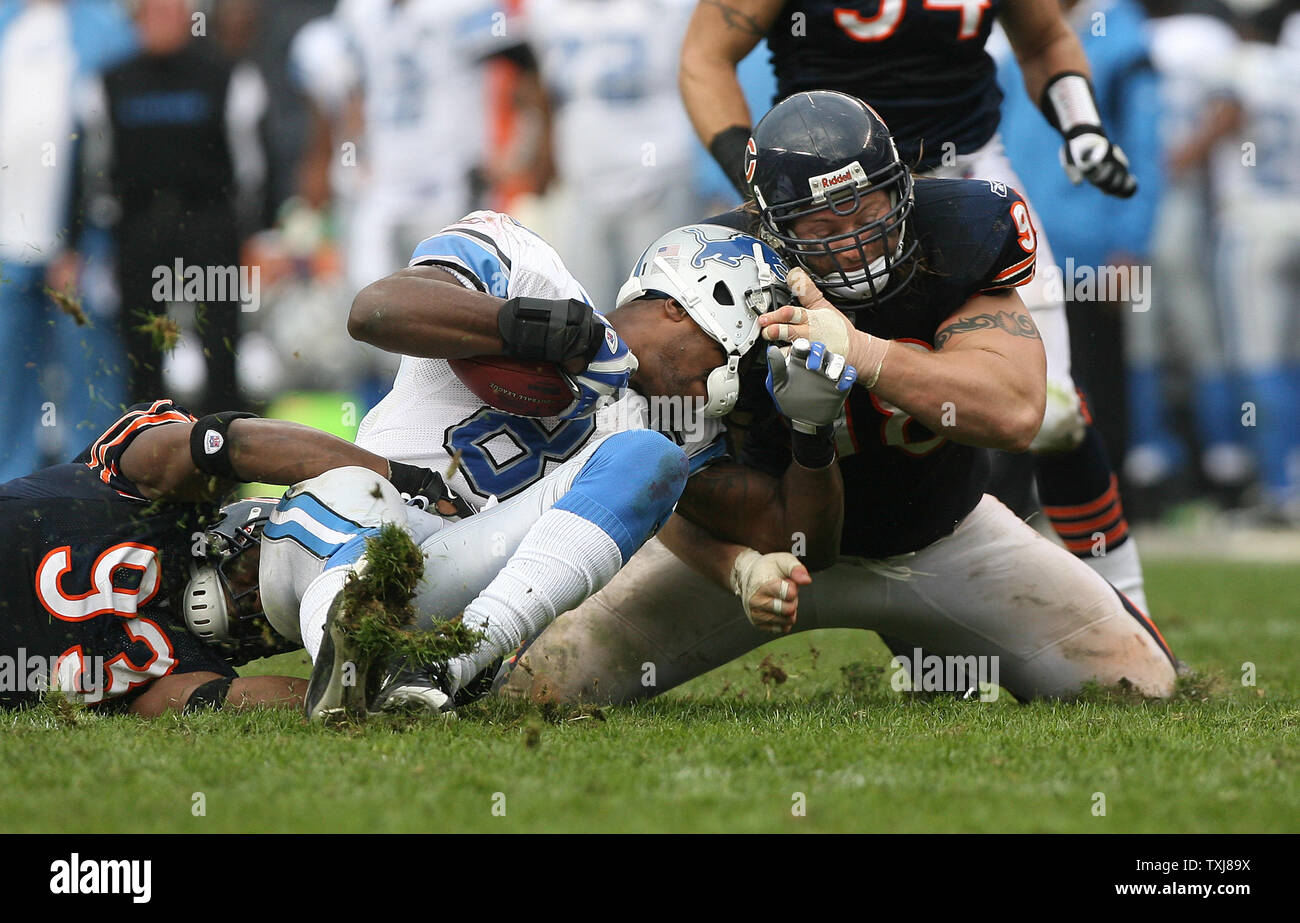 Chicago Bears defensive Ende Adewale Ogunleye (L) und defensiver staubigen Dvoracek (R) Detroit Lions Empfänger Calvin Johnson für eine 6-Yard-Verlust auf einem rückwärts im vierten Quartal Gerät an Soldier Field am 2. November 2008 in Chicago. Die Bären gewannen 27-23. (UPI Foto/Brian Kersey) Stockfoto