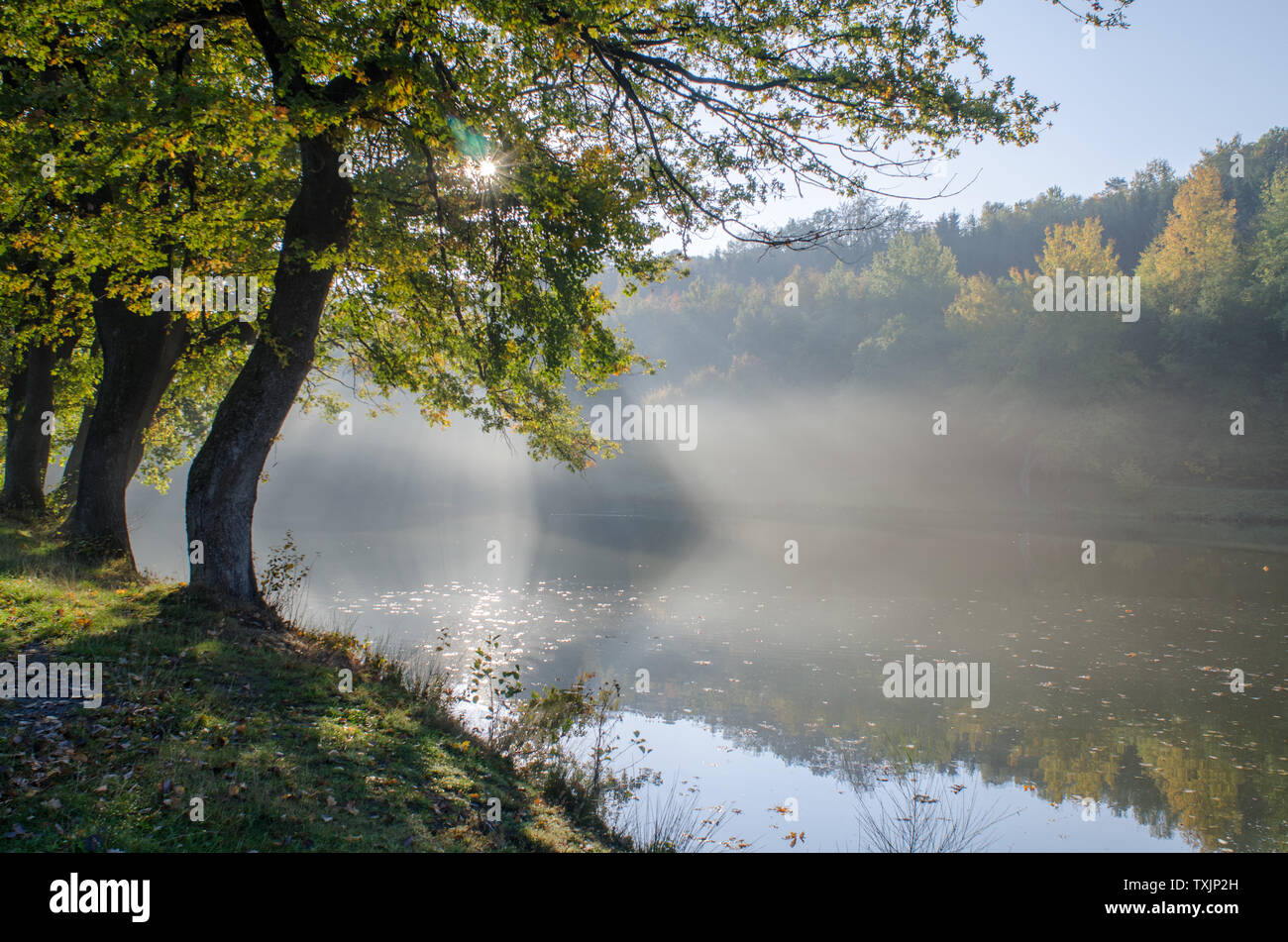 Sonnenaufgang über Siehe im Nebel Stockfoto