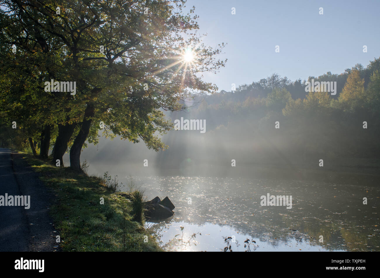 Sonnenaufgang über Siehe im Nebel Stockfoto