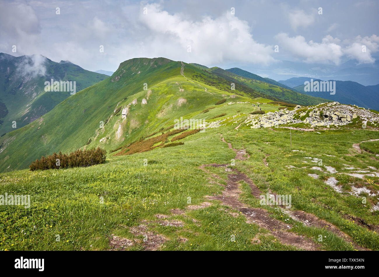 Ridge, die zu den Velky Krivan (1.709 m), der höchste Berg der Kleinen Fatra (Mala Fatra), Slowakei. Stockfoto