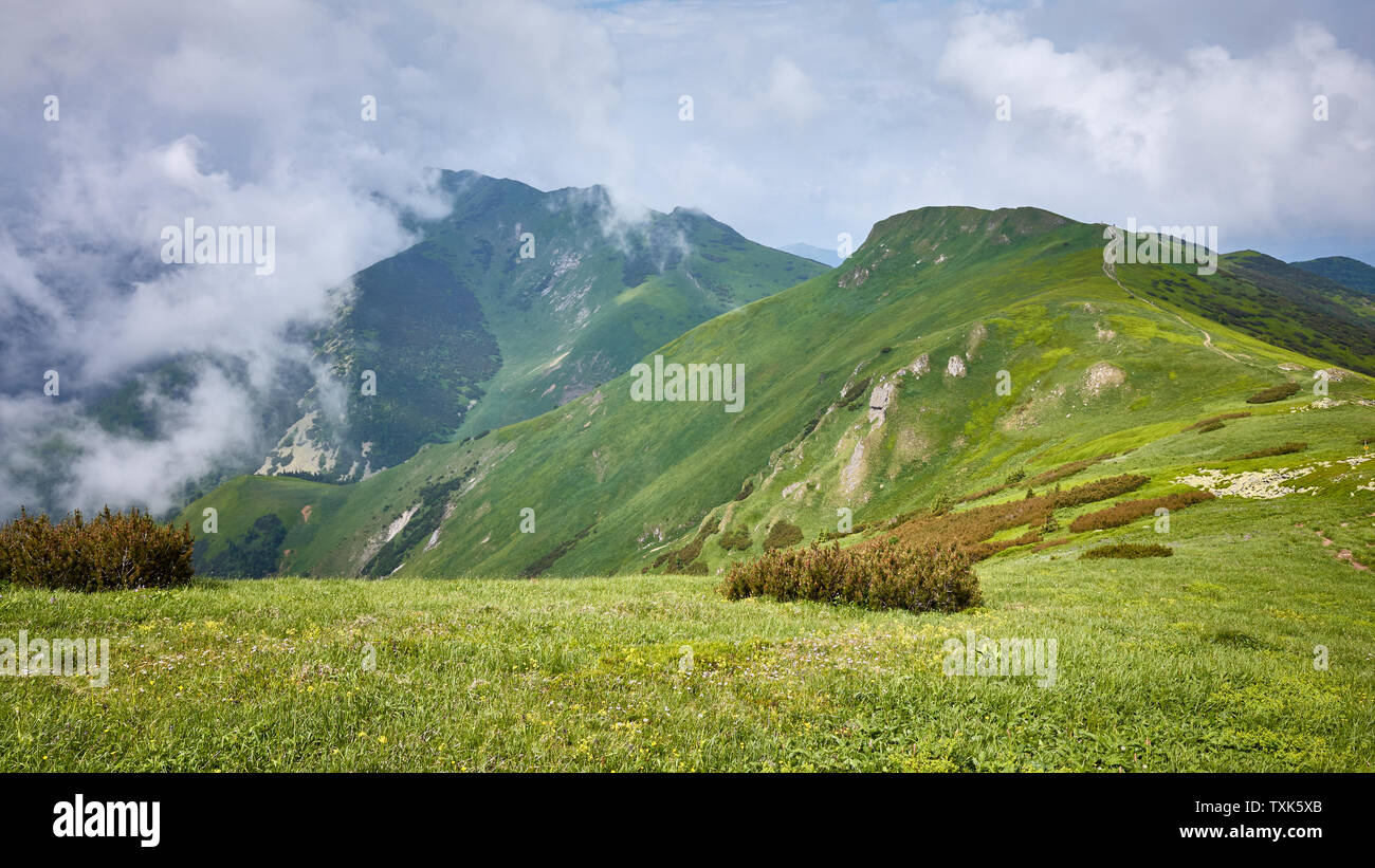 Ridge, die zu den Velky Krivan (1.709 m), der höchste Berg der Kleinen Fatra (Mala Fatra), Slowakei. Stockfoto