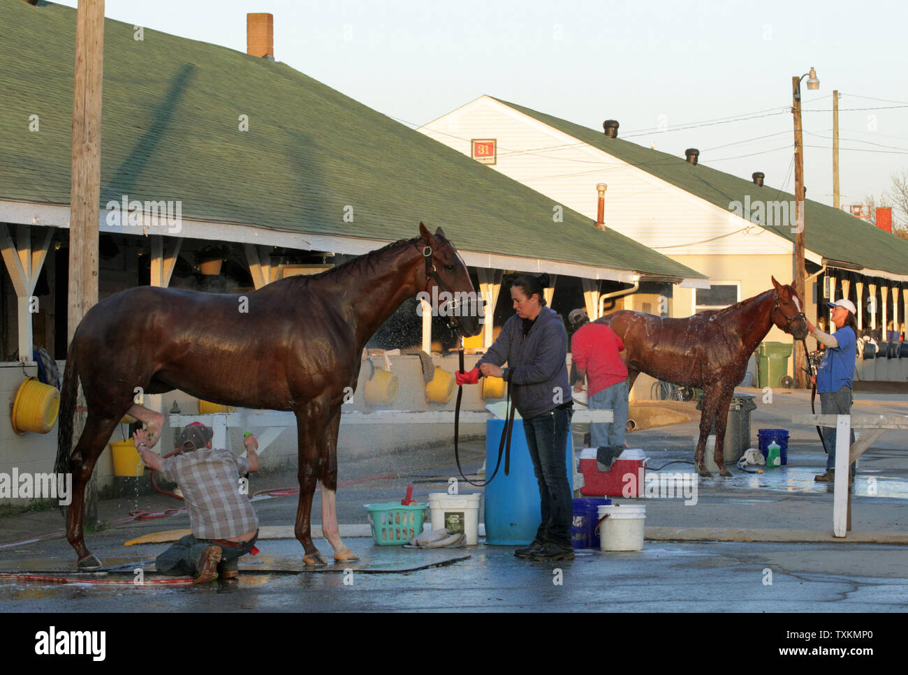 Pferde werden von ihren Bräutigam in der Scheune Bereich gewaschen nach Morgen Training auf Churchill Downs Mai 1, 2018, in Louisville, Ky. Die 144 läuft der Kentucky Derby ist für Samstag, den 5. Mai geplant. Foto von John Sommers II/UPI Stockfoto