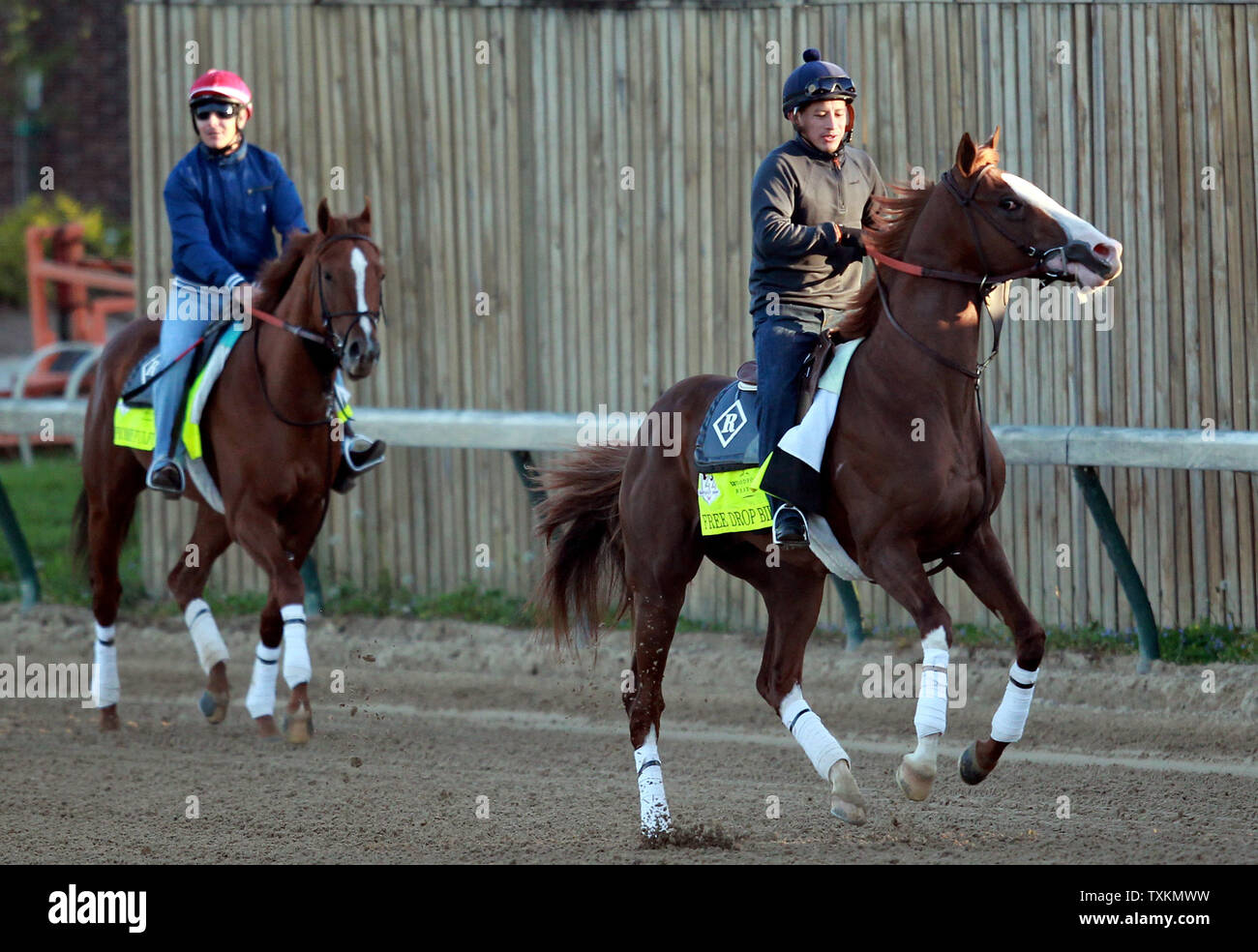 Kentucky Derby hoffnungsvoll freien Tropfen Billy (R) und Verheißungen erfüllt (L) gehen die Spur beim morgendlichen Training auf Churchill Downs Montag, 30. April 2018, in Louisville, Ky. Die 144 läuft der Kentucky Derby ist für Samstag, den 5. Mai geplant. Stockfoto