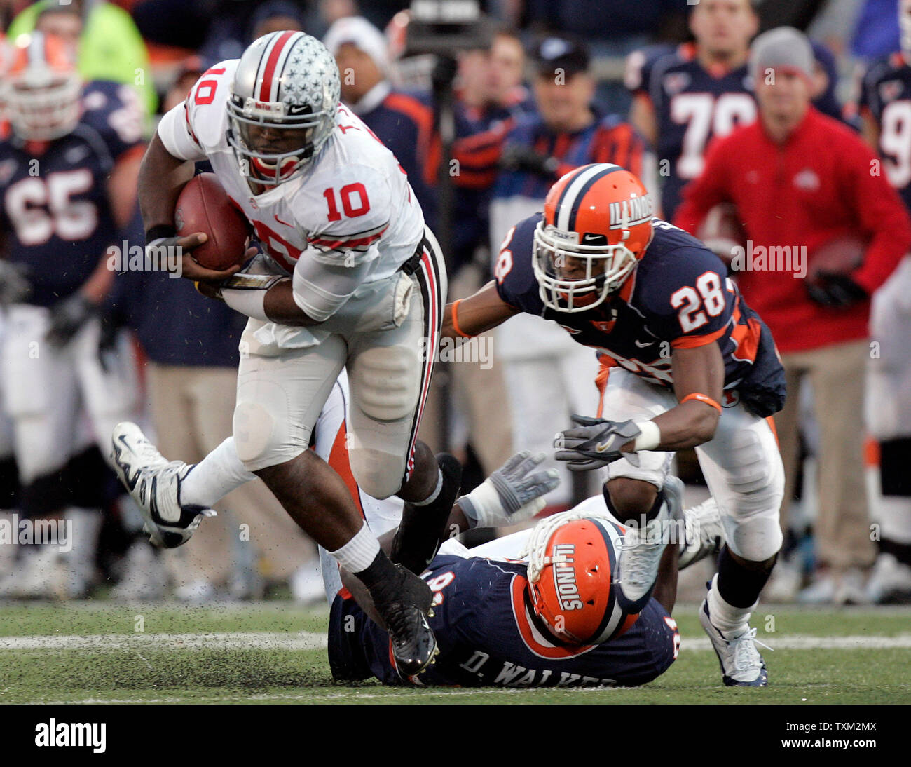 Ohio State Quarterback Troy Smith (10) kriecht Illinois Verteidiger Derek Walker (91) und Dere Hicks (28) beim Memorial Stadium in Champaign, Illinois am 4. November 2006 zu entkommen. (UPI Foto/Markierung Cowan) Stockfoto