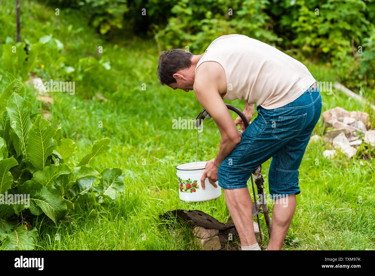 Junger Mann Landwirt waschen Sie Obst und Gemüse in grün sommer in der Ukraine sitzt von meerrettich Blätter Werk gut Hahn gießt Wasser in den Topf Stockfoto