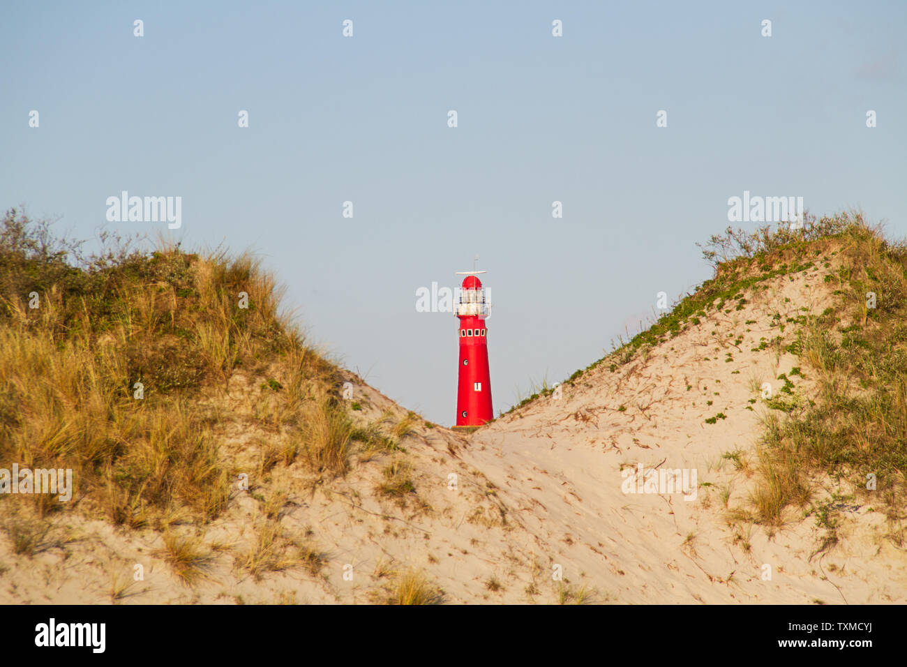 Ansicht zwischen zwei Dünen auf dem roten Leuchtturm der niederländischen Insel Schiermonnikoog Stockfoto