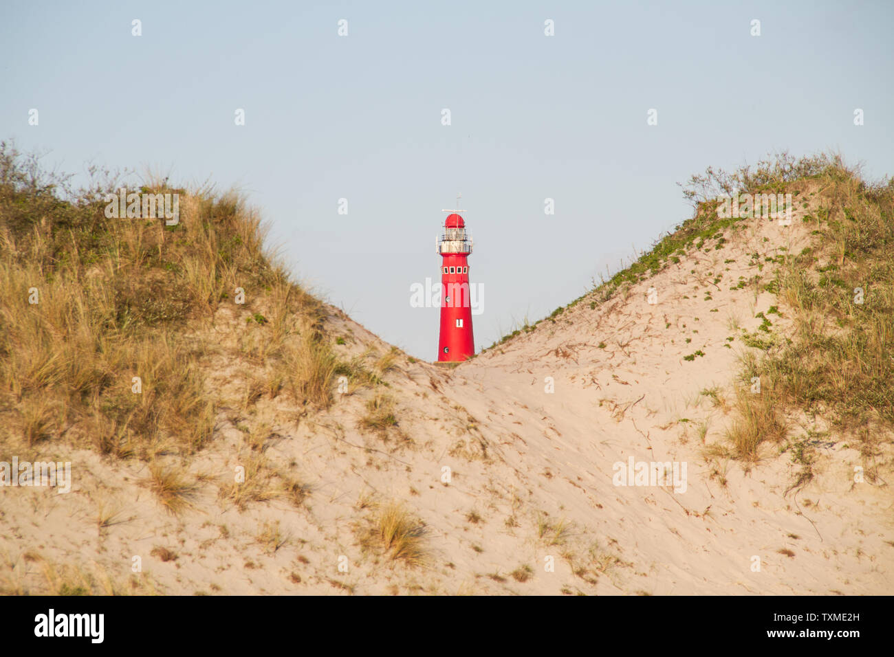 Ansicht zwischen zwei Dünen auf dem roten Leuchtturm der niederländischen Insel Schiermonnikoog Stockfoto