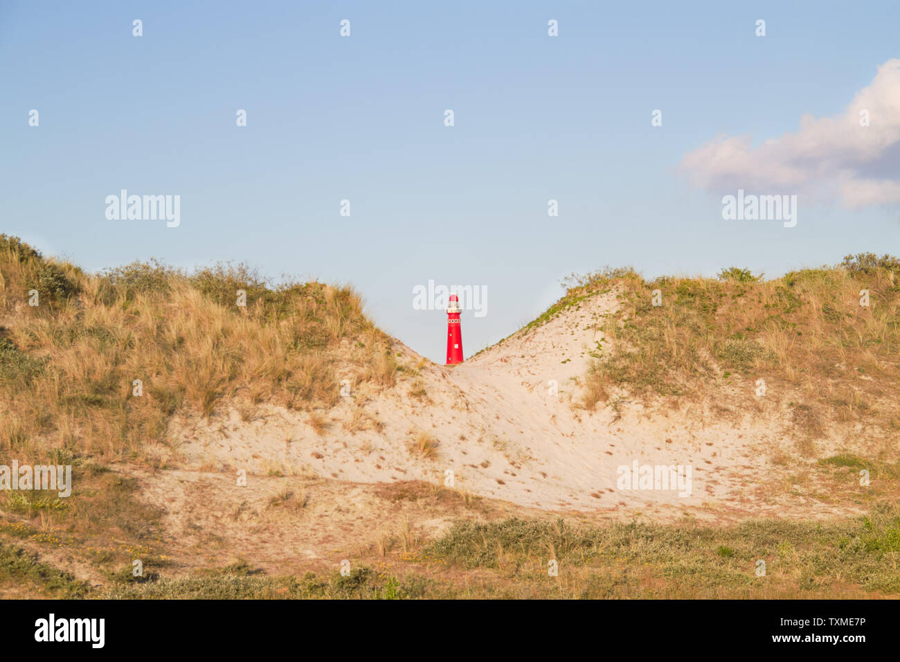 Ansicht zwischen zwei Dünen auf dem roten Leuchtturm der niederländischen Insel Schiermonnikoog Stockfoto