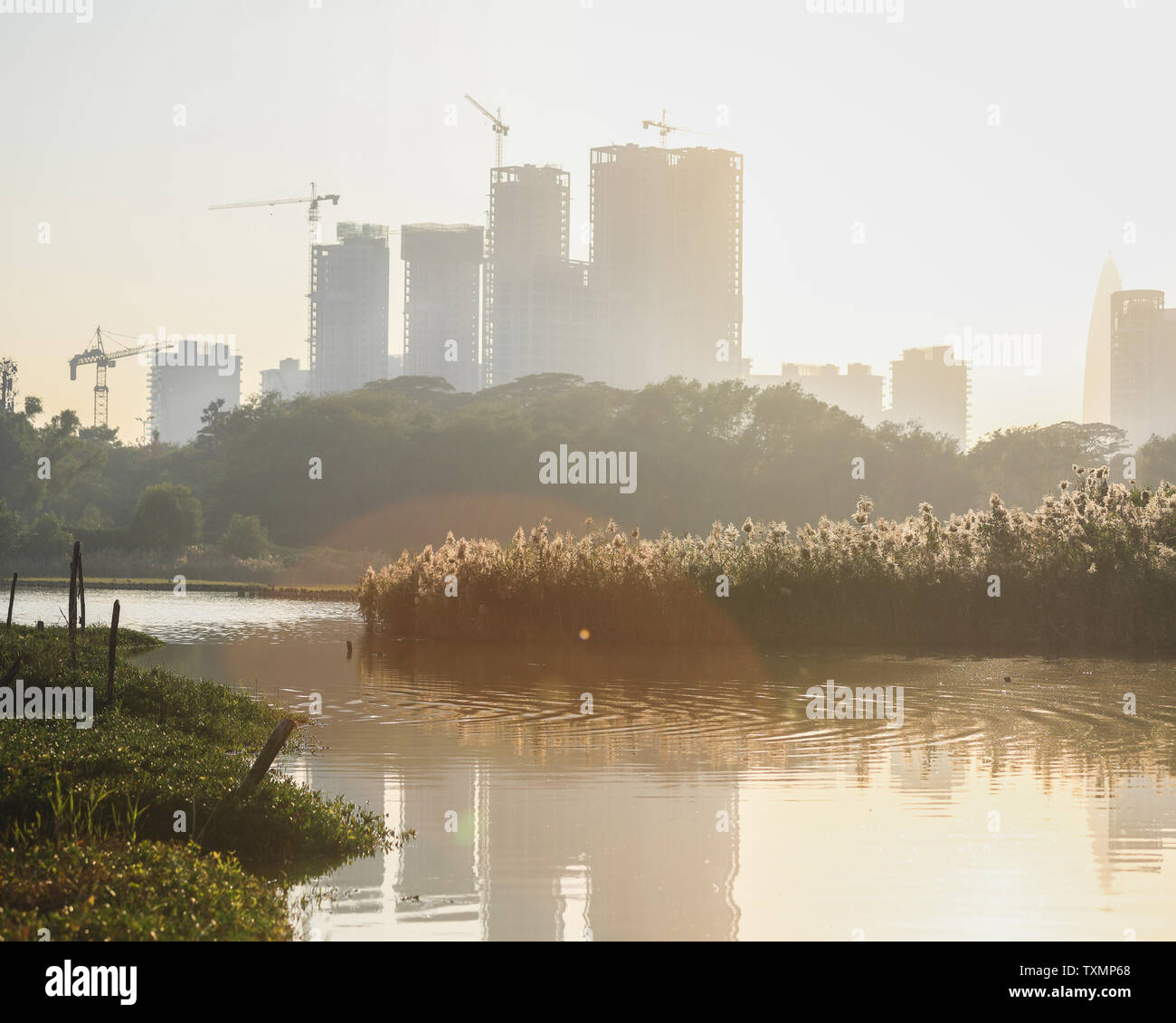 Shenzhen Overseas Chinese Stadt Feuchtgebiet Landschaft Stockfoto